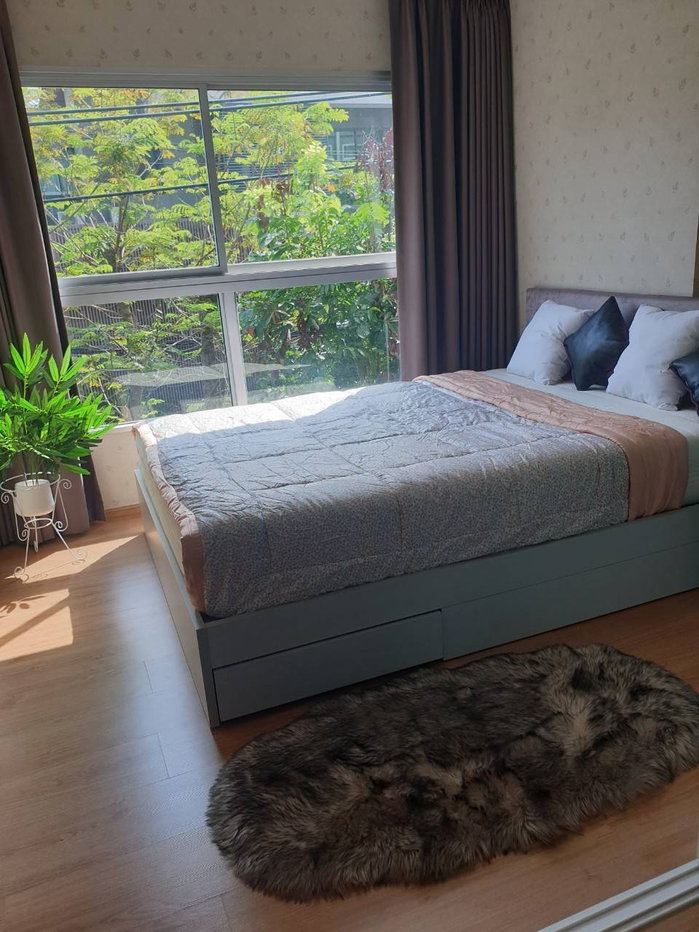 picture D Condo  - 3/7